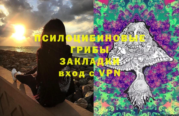 прущие крисы Кодинск