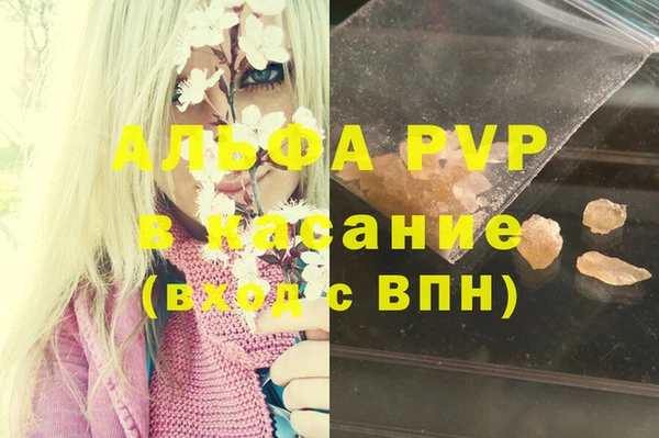 гидра Киренск