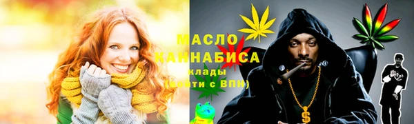 СК Протвино