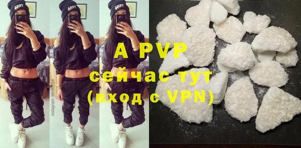СК Кохма