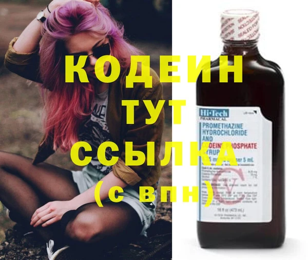 крисы Корсаков