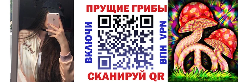 дарк нет наркотические препараты  блэк спрут вход  Красновишерск  купить   Псилоцибиновые грибы Magic Shrooms 